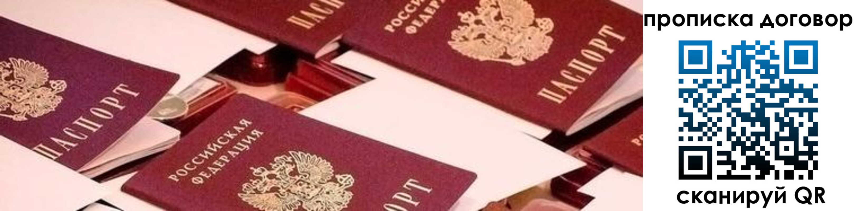 прописка 2025 в Королёве